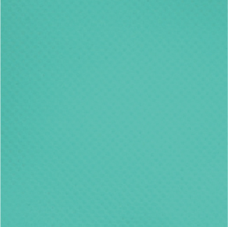 S4843